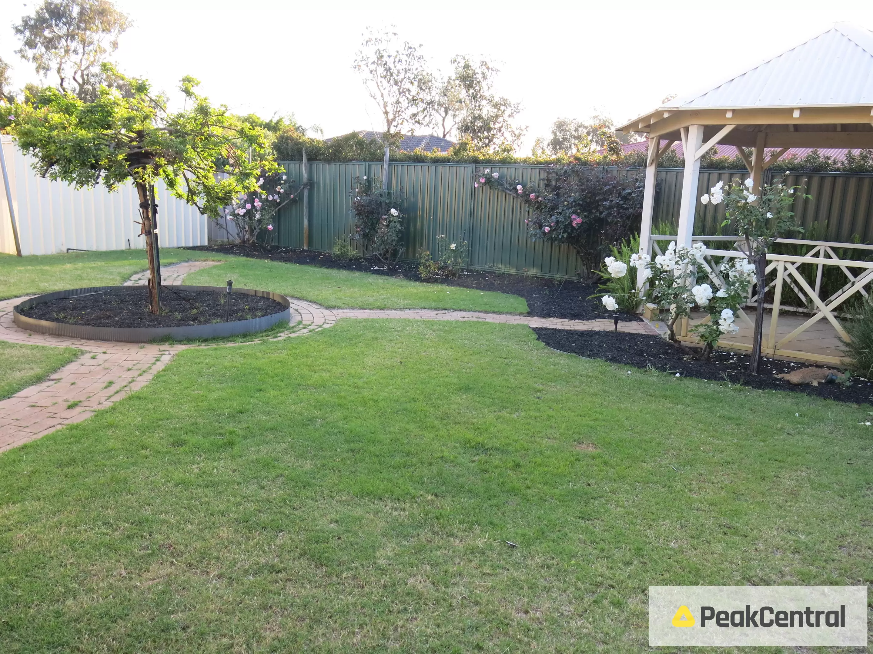17 Bodella Gardens, Atwell Sold by Peak Central Property Group - image 19