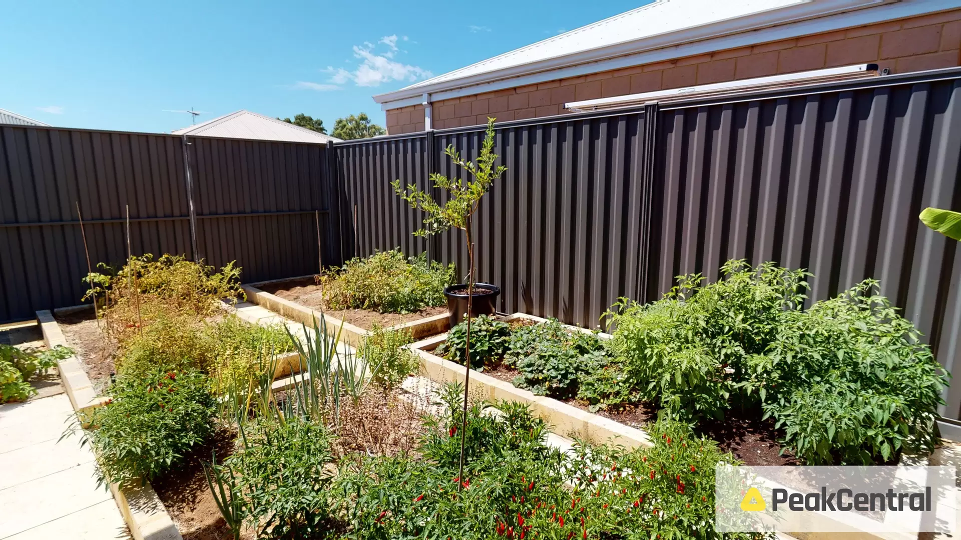 1349 Rowley Road, Hilbert Sold by Peak Central Property Group - image 1