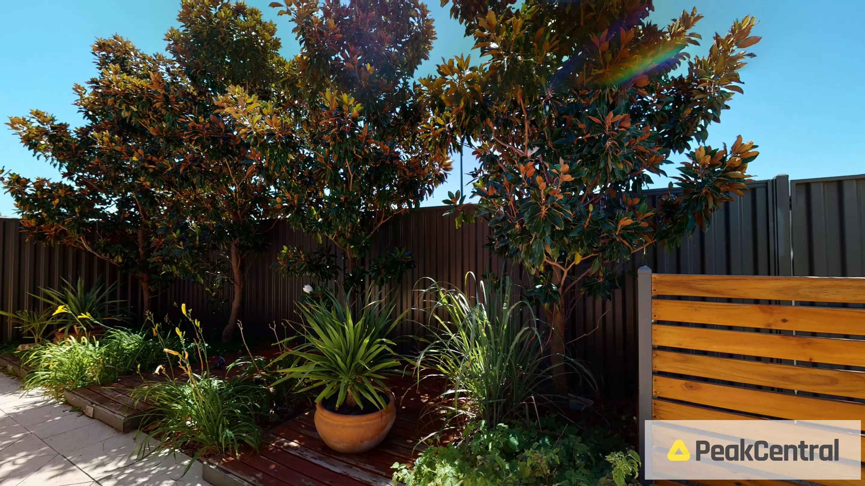 1349 Rowley Road, Hilbert Sold by Peak Central Property Group - image 26