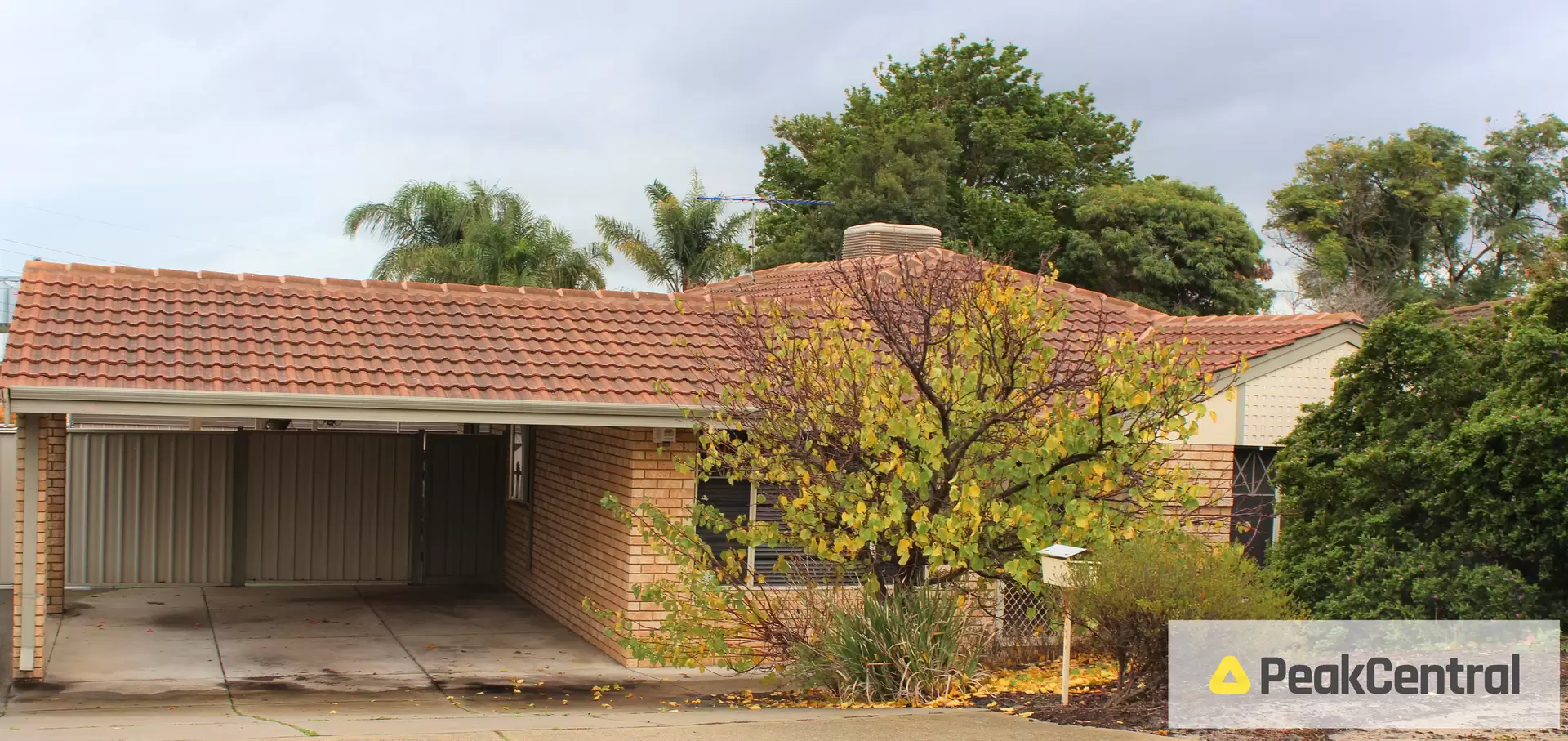 Testimonial from Chris   Lexie