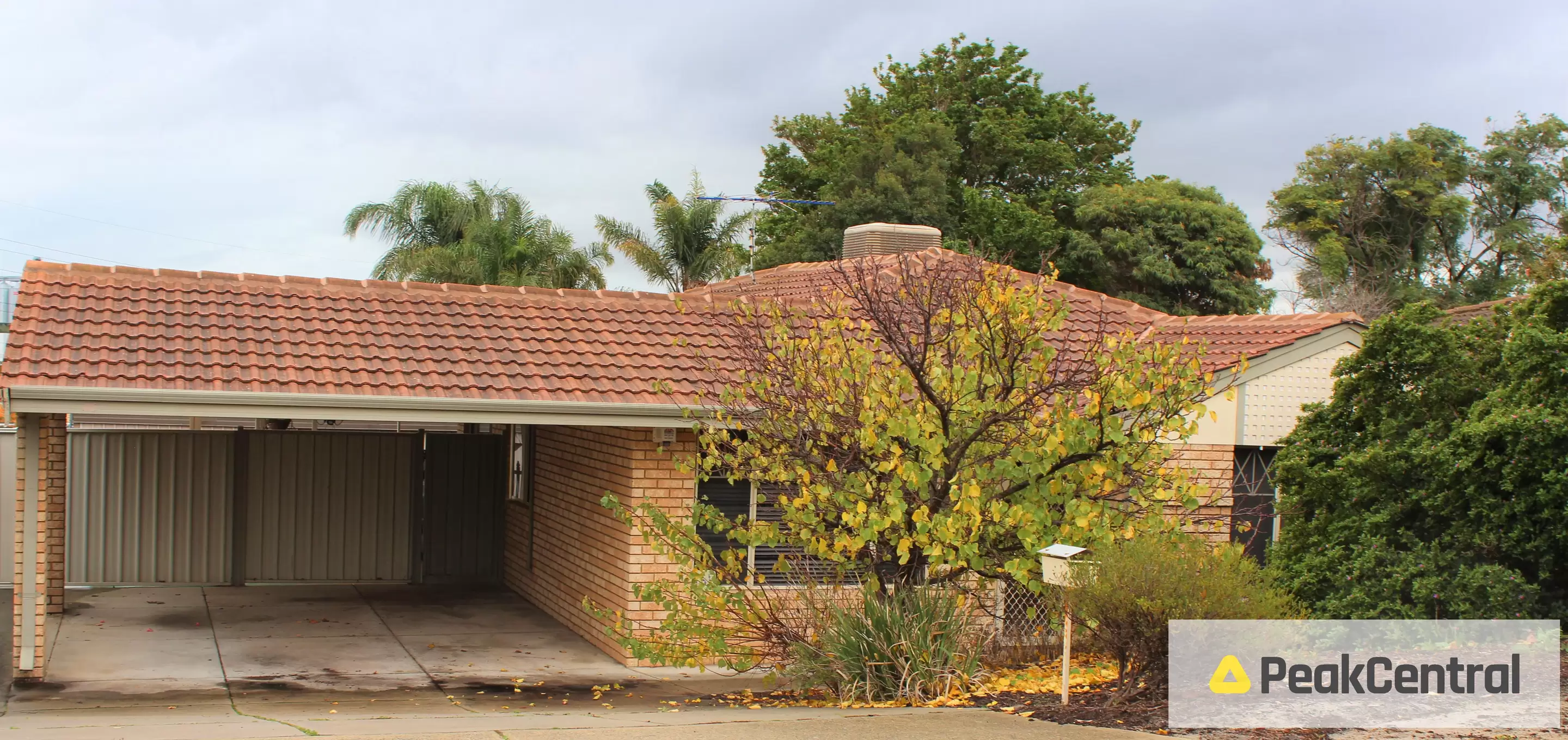 131 Yangebup Road, Yangebup Sold by Peak Central Property Group - image 1