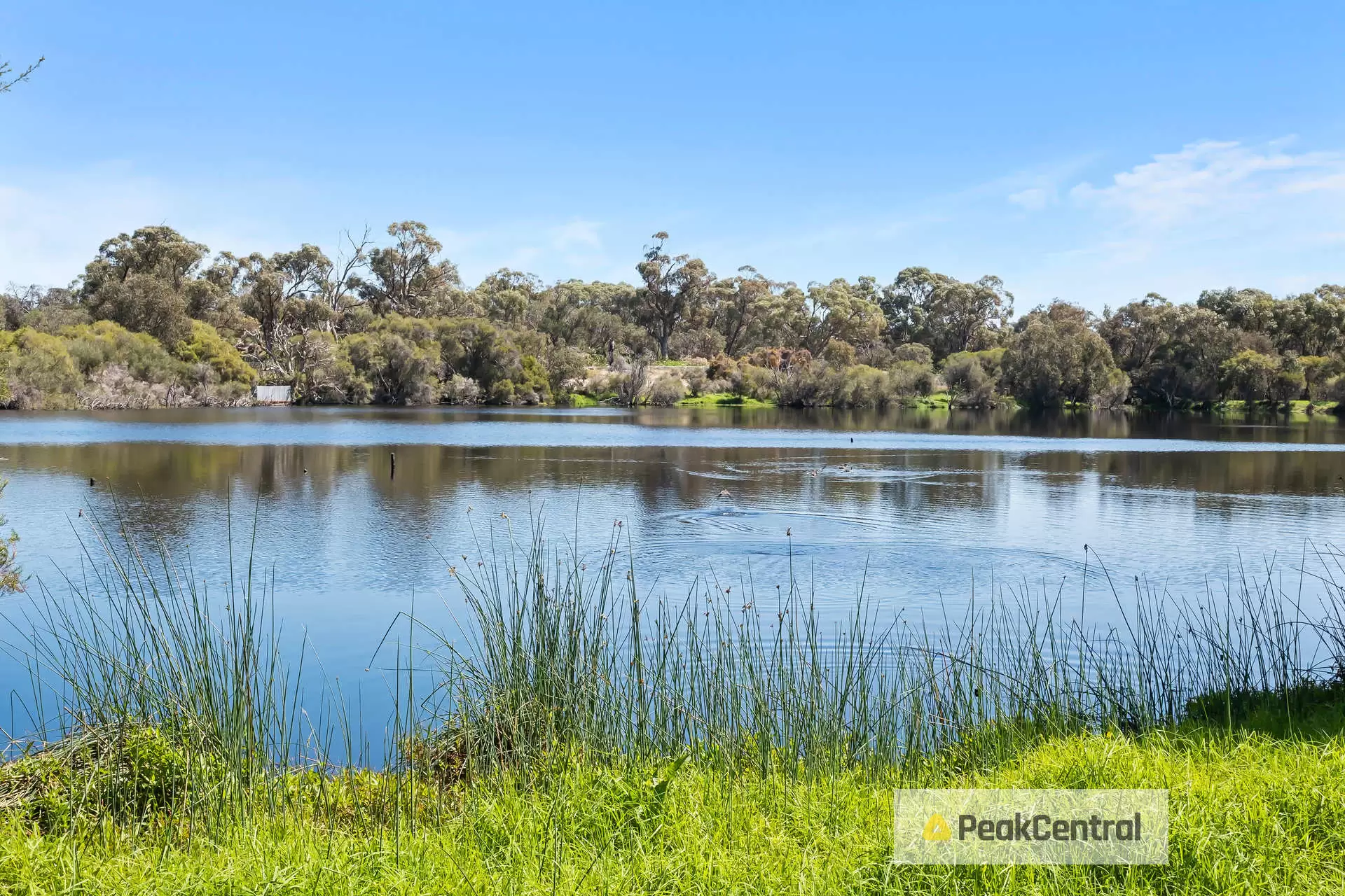 7 Mariposa Gardens, Success Sold by Peak Central Property Group - image 2