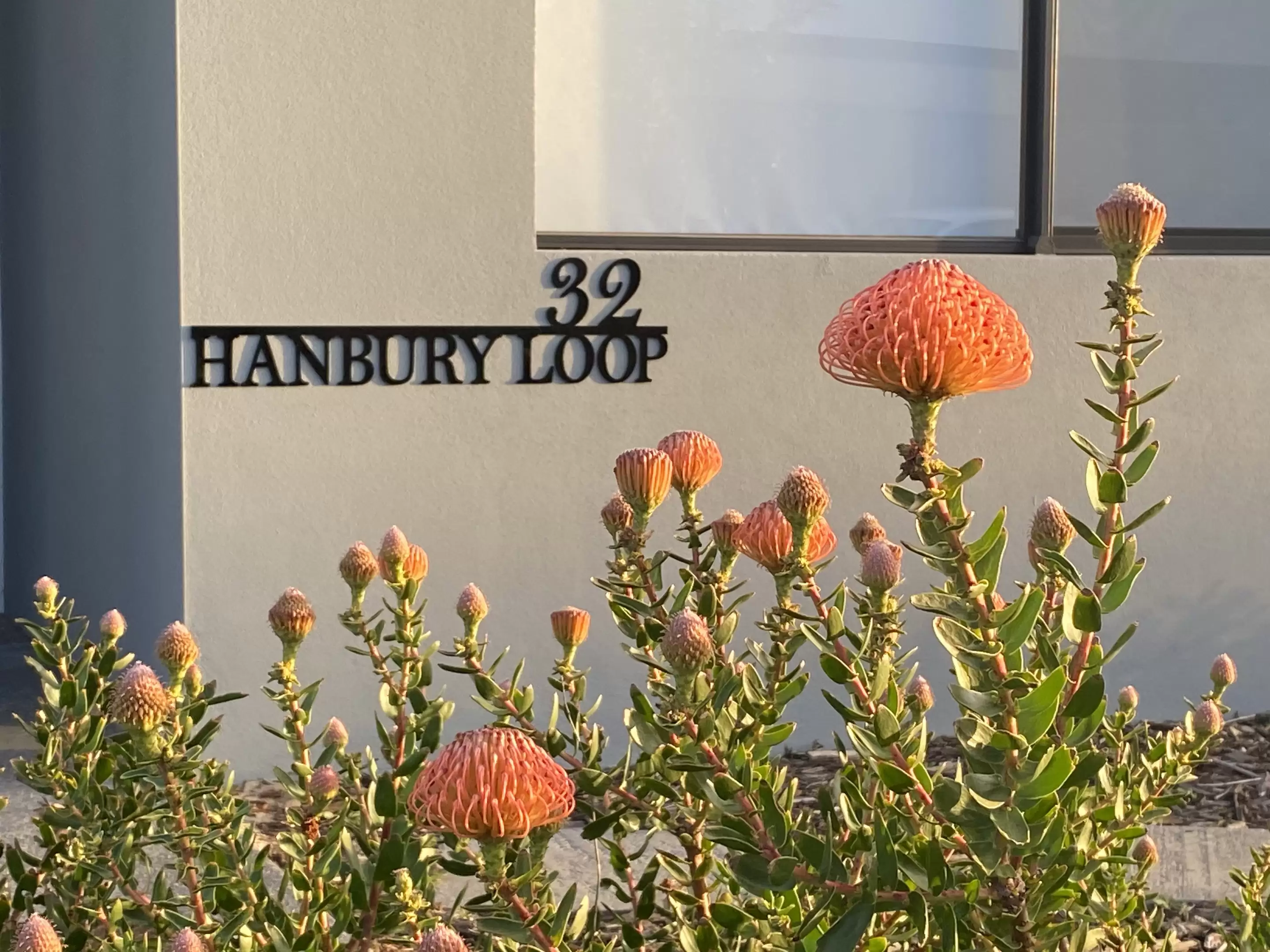 32 Hanbury Loop, Success Sold by Peak Central Property Group - image 2