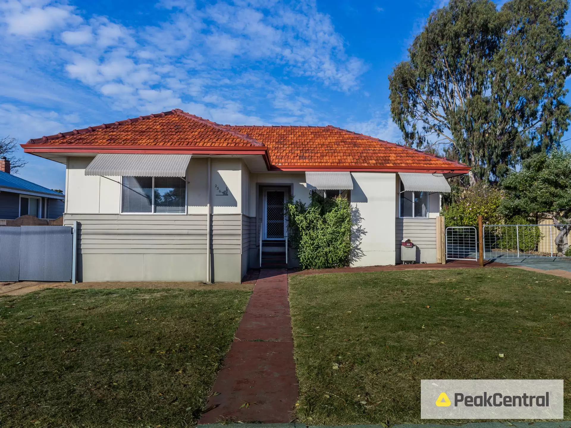 256 Carrington Street, Hilton Leased by Peak Central Property Group - image 1