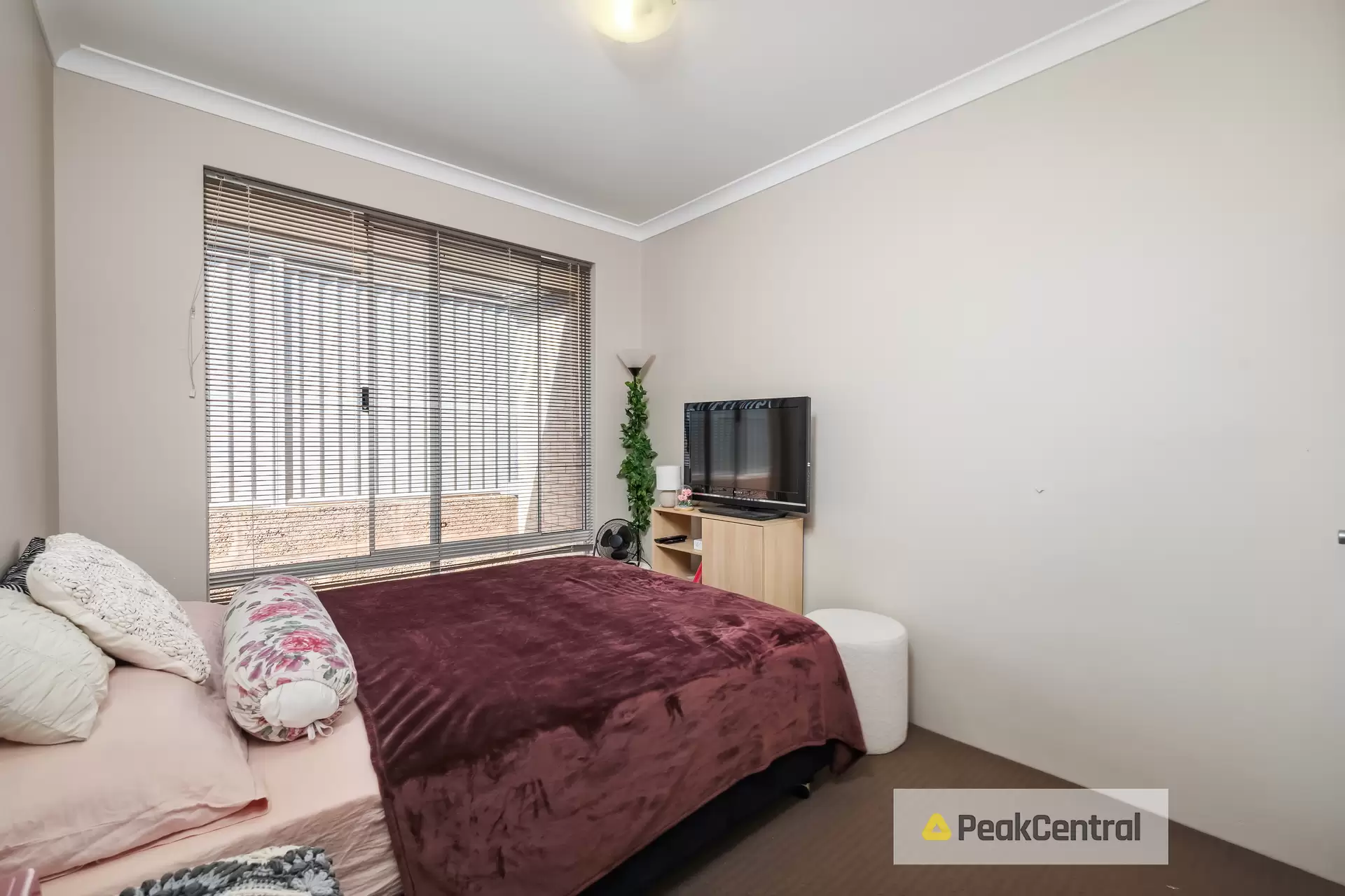 32 Needlewood Loop, Wandi Sold by Peak Central Property Group - image 1