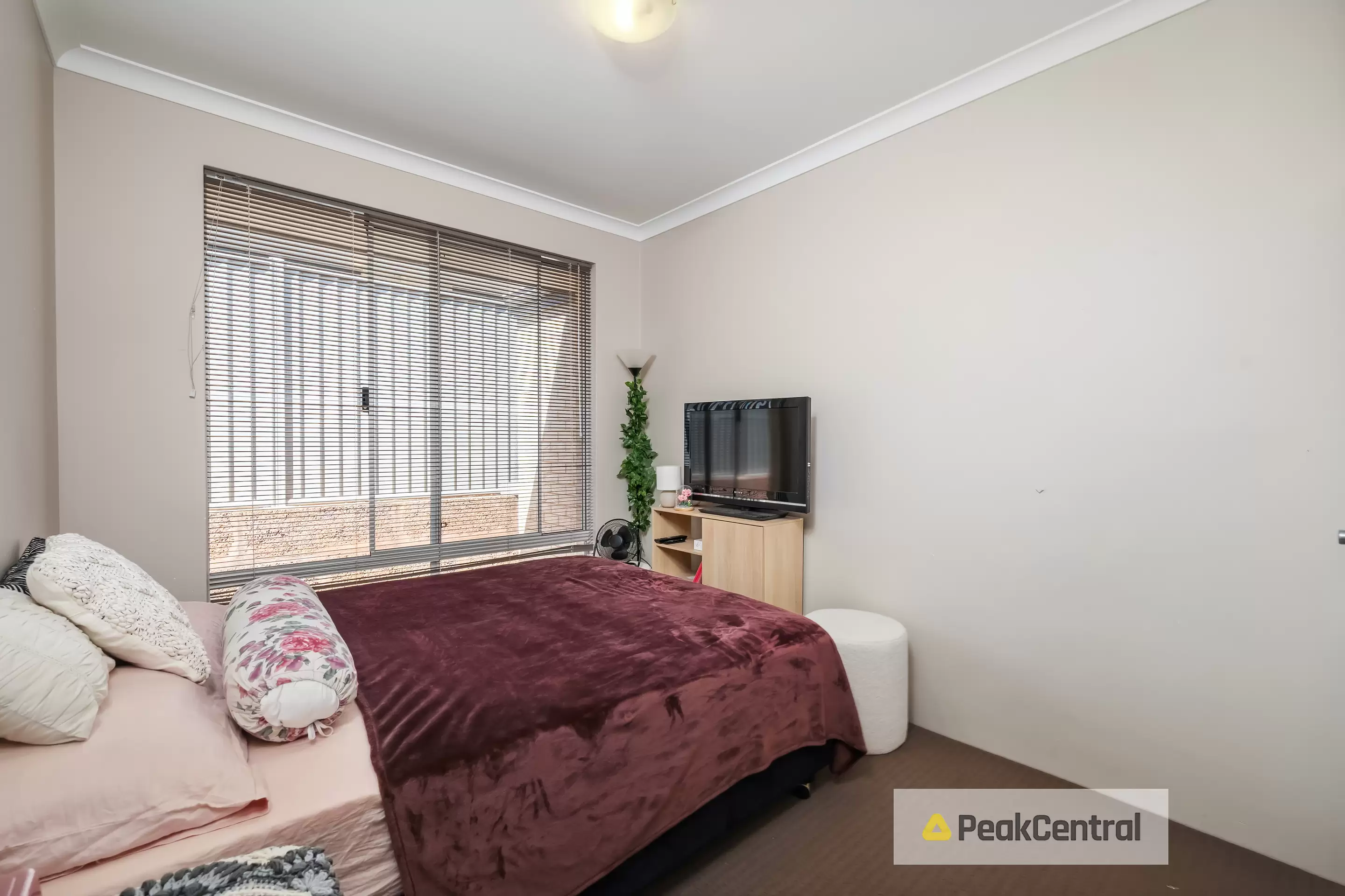 32 Needlewood Loop, Wandi Sold by Peak Central Property Group - image 5