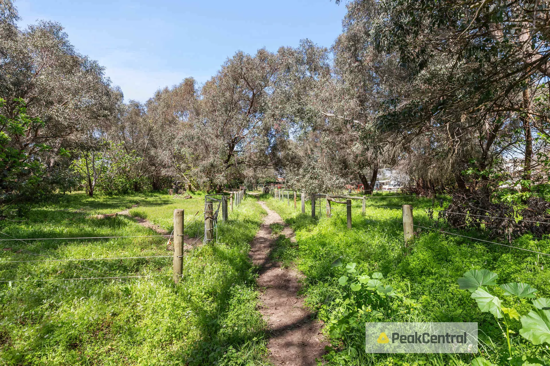 294B Wattleup Road, Wattleup Sold by Peak Central Property Group - image 22