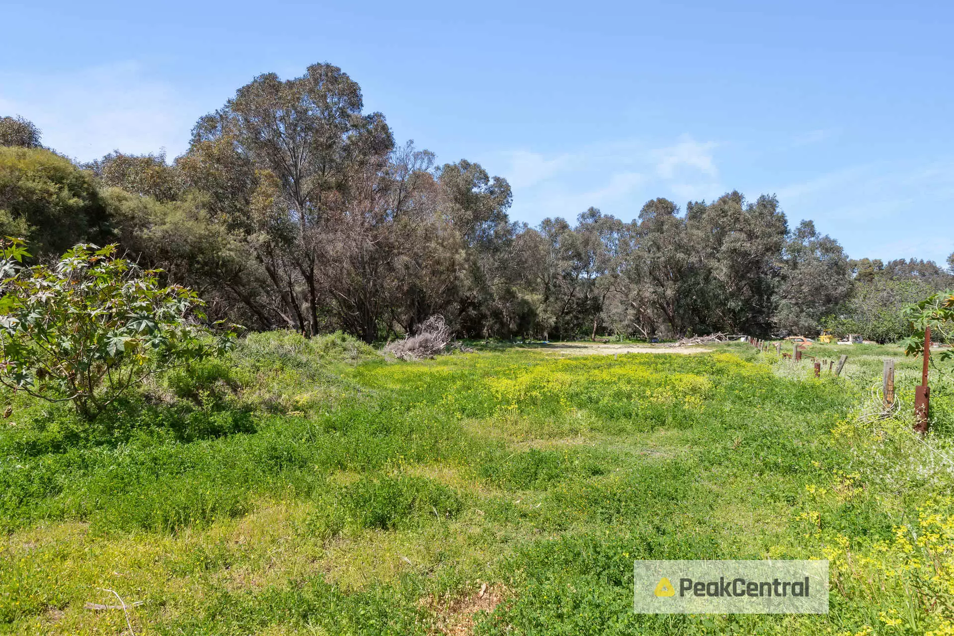 294B Wattleup Road, Wattleup Sold by Peak Central Property Group - image 23