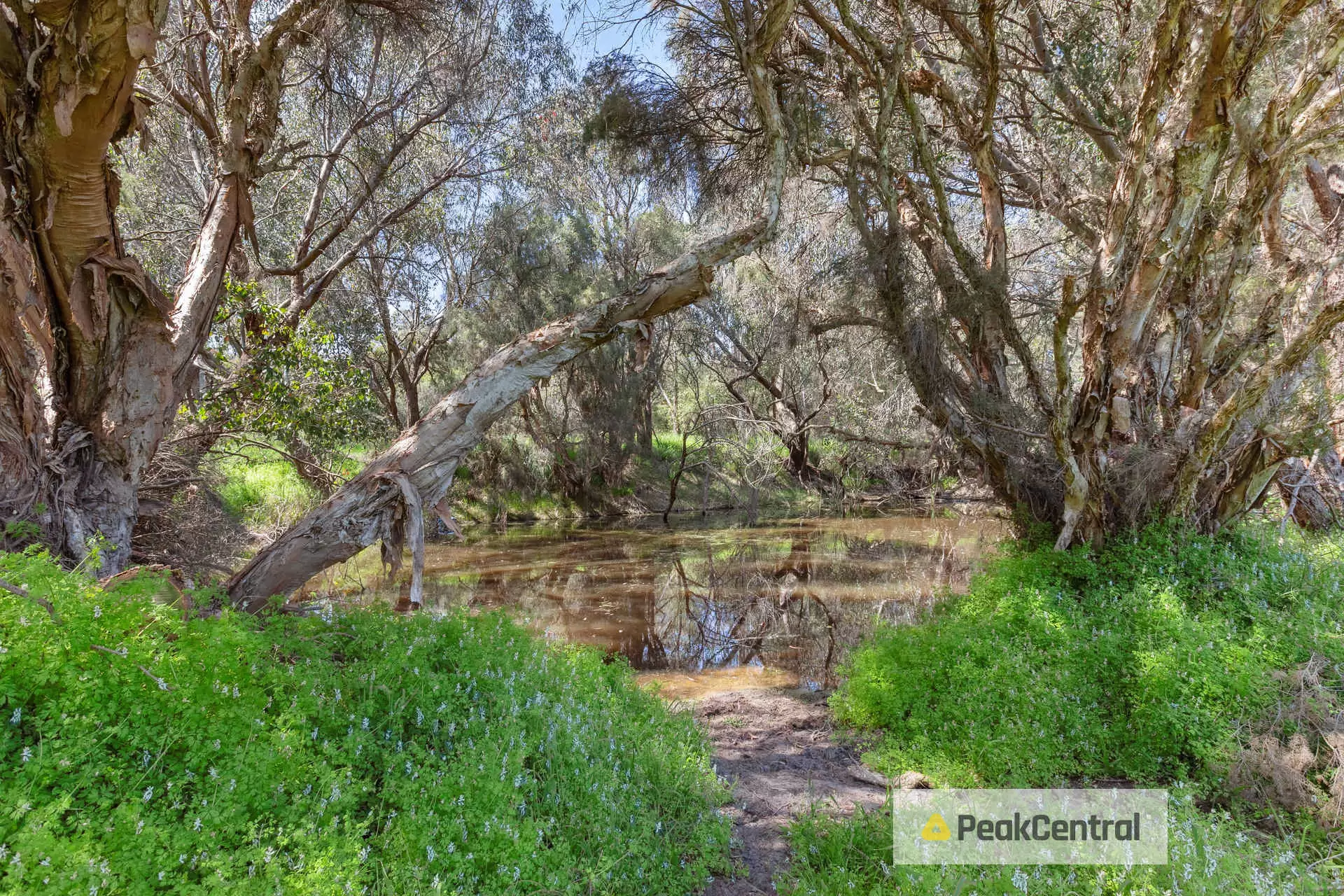 294B Wattleup Road, Wattleup Sold by Peak Central Property Group - image 20