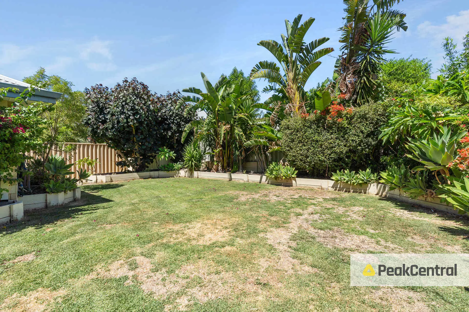 28 Lesueur Pass, Beeliar Sold by Peak Central Property Group - image 15