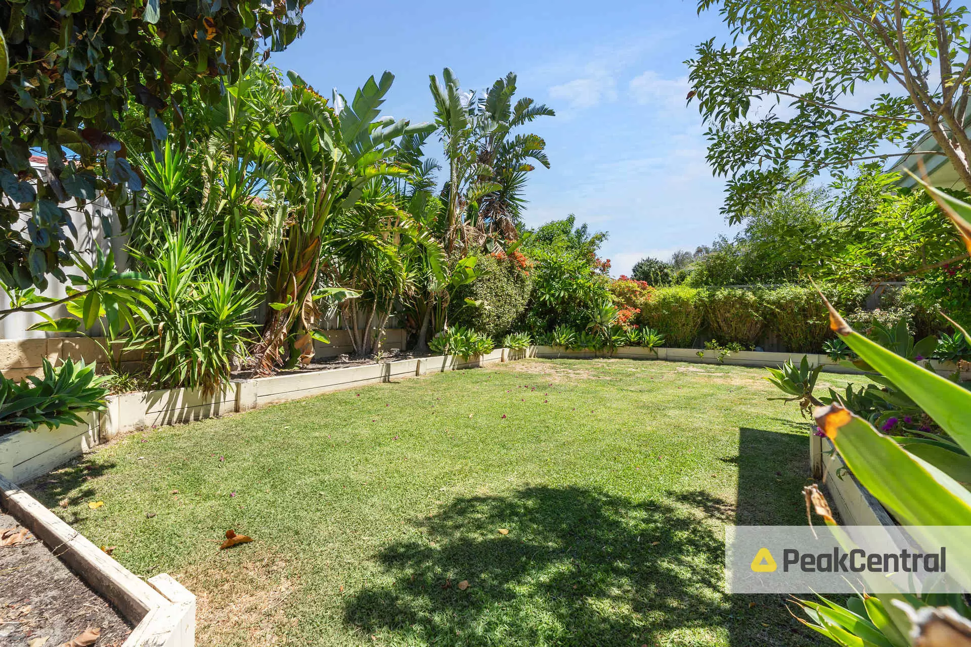 28 Lesueur Pass, Beeliar Sold by Peak Central Property Group - image 12