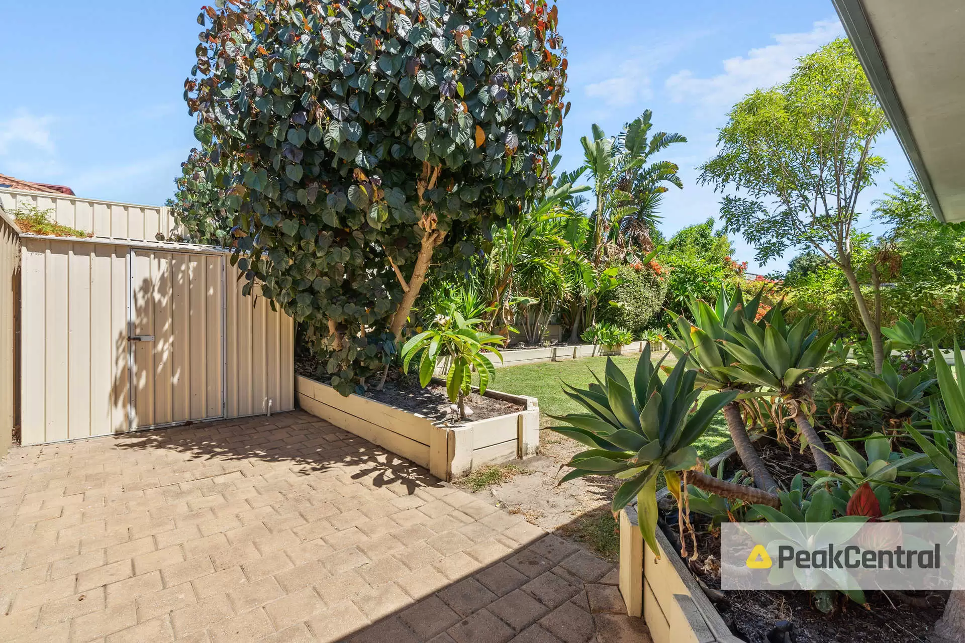 28 Lesueur Pass, Beeliar Sold by Peak Central Property Group - image 14